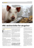 Økt smitterisiko for utegriser