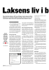 Laksens liv i b okform