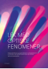 LEK MED OPTISKE FENOMENER