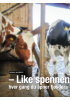 - Like spennende hver gang du åpner fjøsdøra