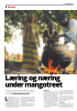 Læring og næring under mangotreet