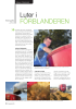 Luter i FÔRBLANDEREN