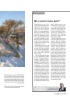 Må vi slutte å spise kjøtt?