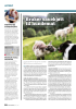 Marktrykk i fokus hos Horsch