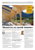 Massivtre av norsk tømmer