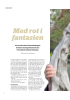 Med rot i fantasien