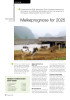 Melkeprognose for 2025