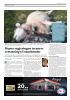 Mener regjeringen trenerer erstatning til sauebønder