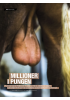 MILLIONER I PUNGEN