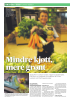 Mindre kjøtt, mere grønt