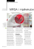 MRSA i mjølkekube setning