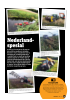 Nederland-spesial