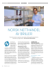 NORSK NETTHANDEL AV BRILLER