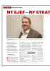 NY SJEF - NY STRATEGI - MULIG NY EIER