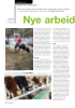 Nye arbeidsrutiner