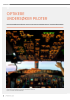 OPTIKERE UNDERSØKER PILOTER