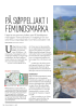 PÅ SØPPELJAKT I FEMUNDSMARKA