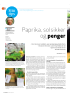 Paprika, solsikker og penger