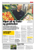 Pølsak i Kiwi