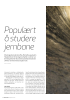 Populært å studere jernbane