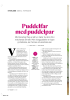 Puddelfar med puddelpar