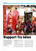 Rapport fra Wien