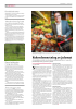 Rekordomsetning av julemat