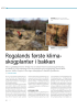 Rogalands første klimaskogplanter i bakken