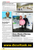 Rosa «Moods of Norwaykumlokk» i Stryn