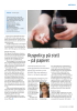 Ruspolicy på stell - på papiret