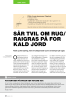 SÅR TVIL OM RUG/ RAIGRAS PÅ FOR KALD JORD