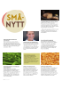SMÅNYTT