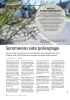 Sommerens siste pollenplage