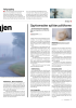 Spyttemasker splitter politikerne