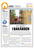 START STYREMØTET I BAKÅRDEN