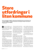 Store utfordringer i liten kommune