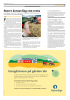 Større kornavling enn venta
