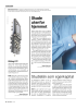 Studielån som egenkapital