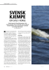 SVENSK KJEMPE GIR GASS I NORGE