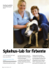 Sykehus-lab for firbente