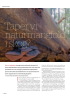 Taper vi naturmangfold i skog?