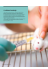 Tester medisiner basert på dårlige dyrestudier