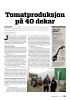 Tomatproduksjon på 40 dekar
