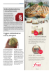 Tryggere antibiotikabruk med ny allergitest