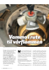 Vamma i rute til vårflommen