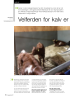 Velferden for kalv er bra, men kan bli bedre
