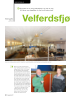 Velferdsfjøset