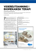 VIDEREUTDANNING I BIOMEKANISK TERAPI