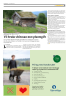 Vil bruke chitosan mot plantegift