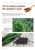 Vil ha bedre kvalitet der pepper'n gror